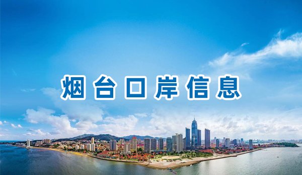 惠企政策专区
